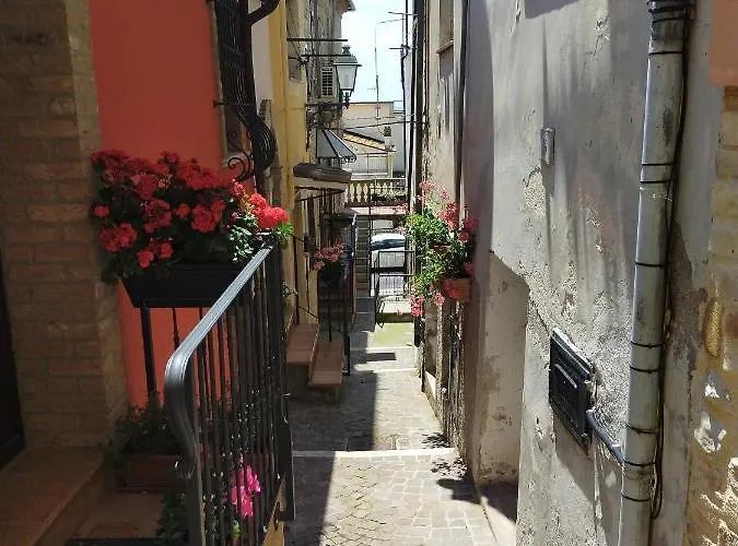 Bed & Breakfast La Dimora Di Maddalena Tortoreto